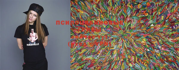 прущие грибы Лиски